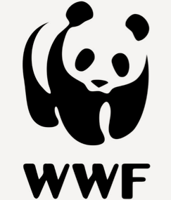 LOGO_WWF_04