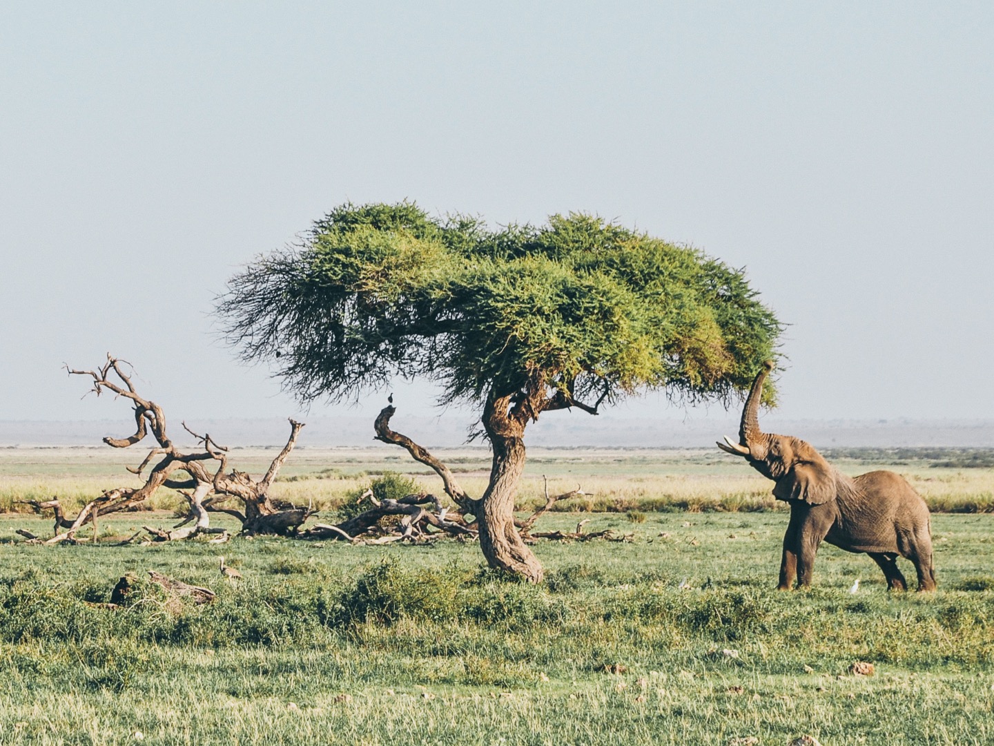 hero_africa_mobile_01